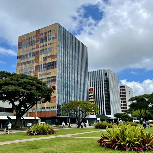 Cultura Niterói