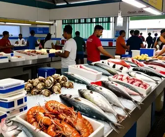 Descubra o Mercado de Peixe São Pedro: O Melhor de Niterói em Frutos do Mar
