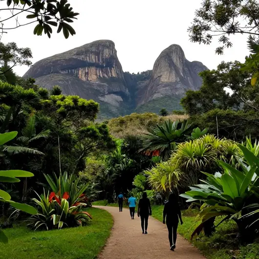 Descubra o Parque Natural de Niterói