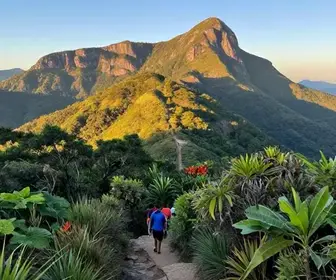 Explorando o Parque Estadual da Serra da Tiririca: Natureza e Aventura em Niterói
