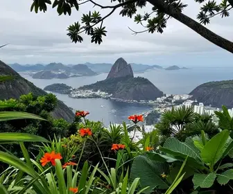 Explore o Caminho de Darwin em Niterói: Naturaleza e História em Cada Passo